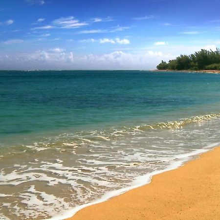 Wonderful Maui Vista-Kihei Kai Nani Beach Condos Esterno foto